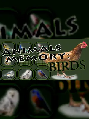 Animals Memory: Birds