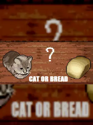 Cat or Bread?