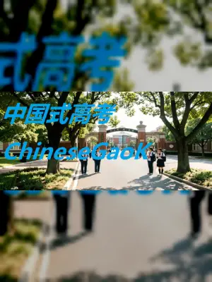 中国式高考ChineseGaokao‌