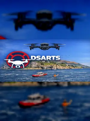 DSARTS