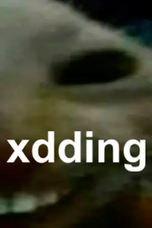 xdding